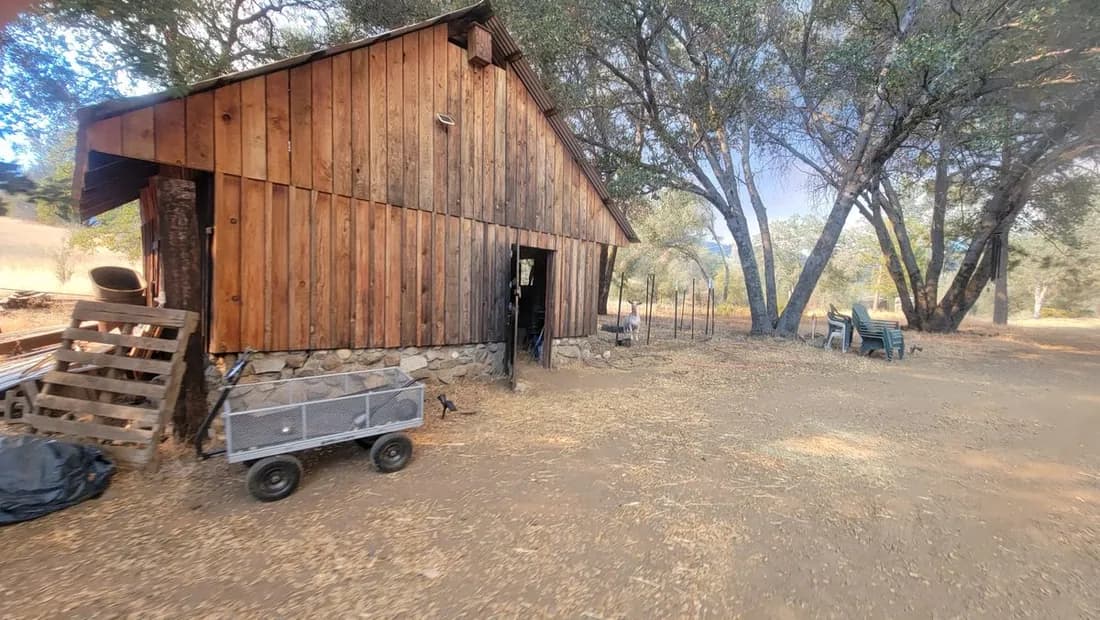 Weathered wood barn beside an oak grove on open ranch land.